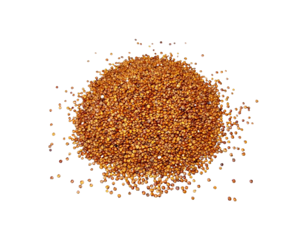 quinoa czerwona Quinoa rød – økologisk
